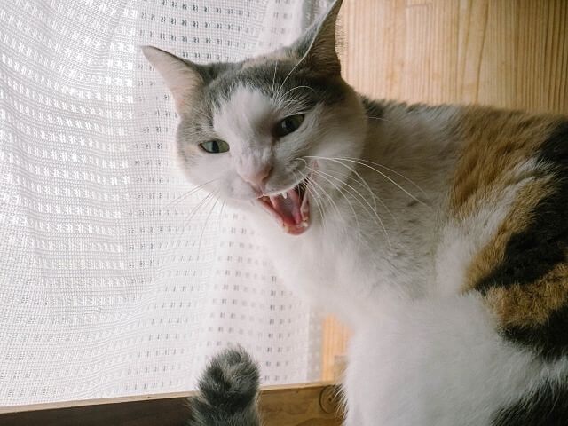 しつこい営業は一切いたしません