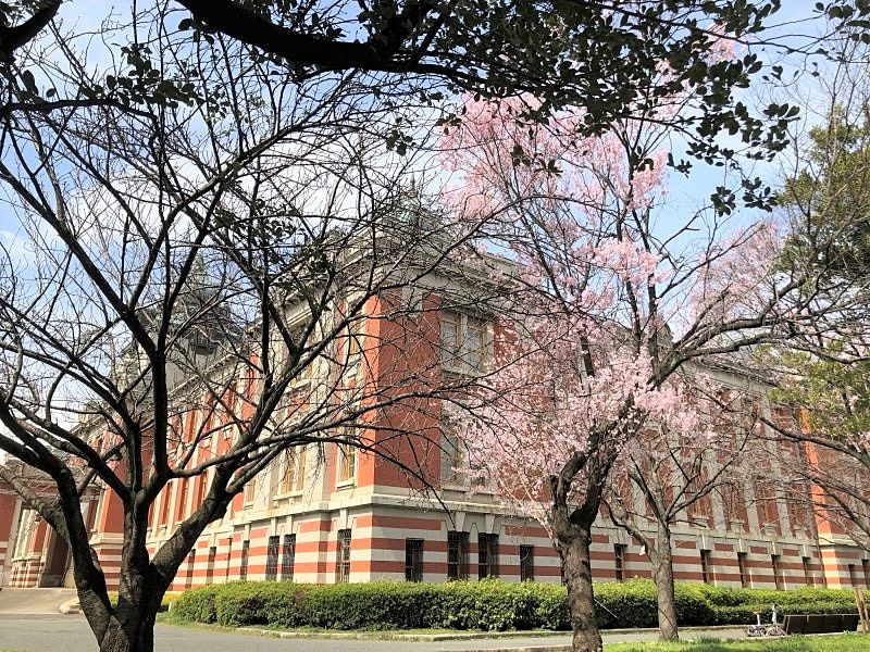 名古屋で桜の開花が発表されました【東海住宅　名古屋】