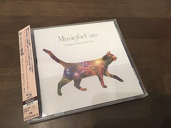 ねこのための音楽～Music for Cats～【東海住宅　名古屋】